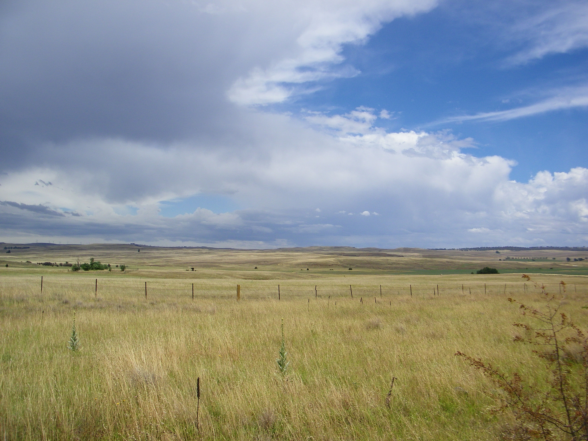 Kodak EASYSHARE Z1015 IS DIGITAL CAMERA sample photo. Monaro plains photography