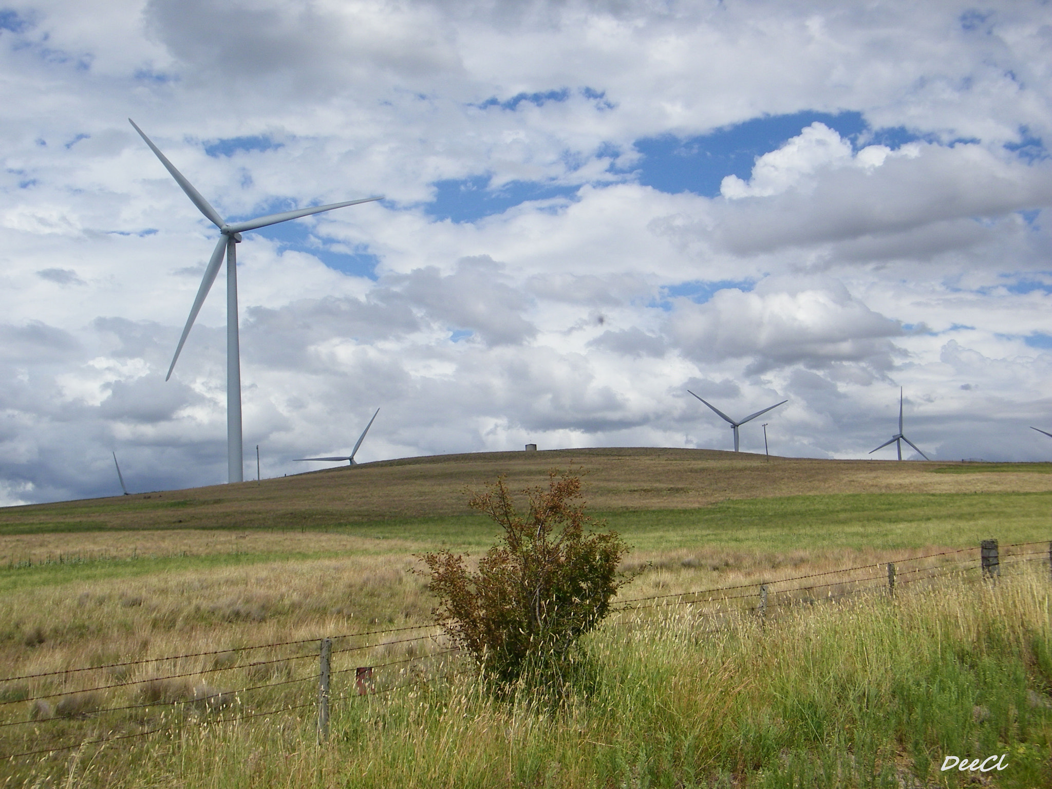 Kodak EASYSHARE Z1015 IS DIGITAL CAMERA sample photo. Monaro windfarms photography