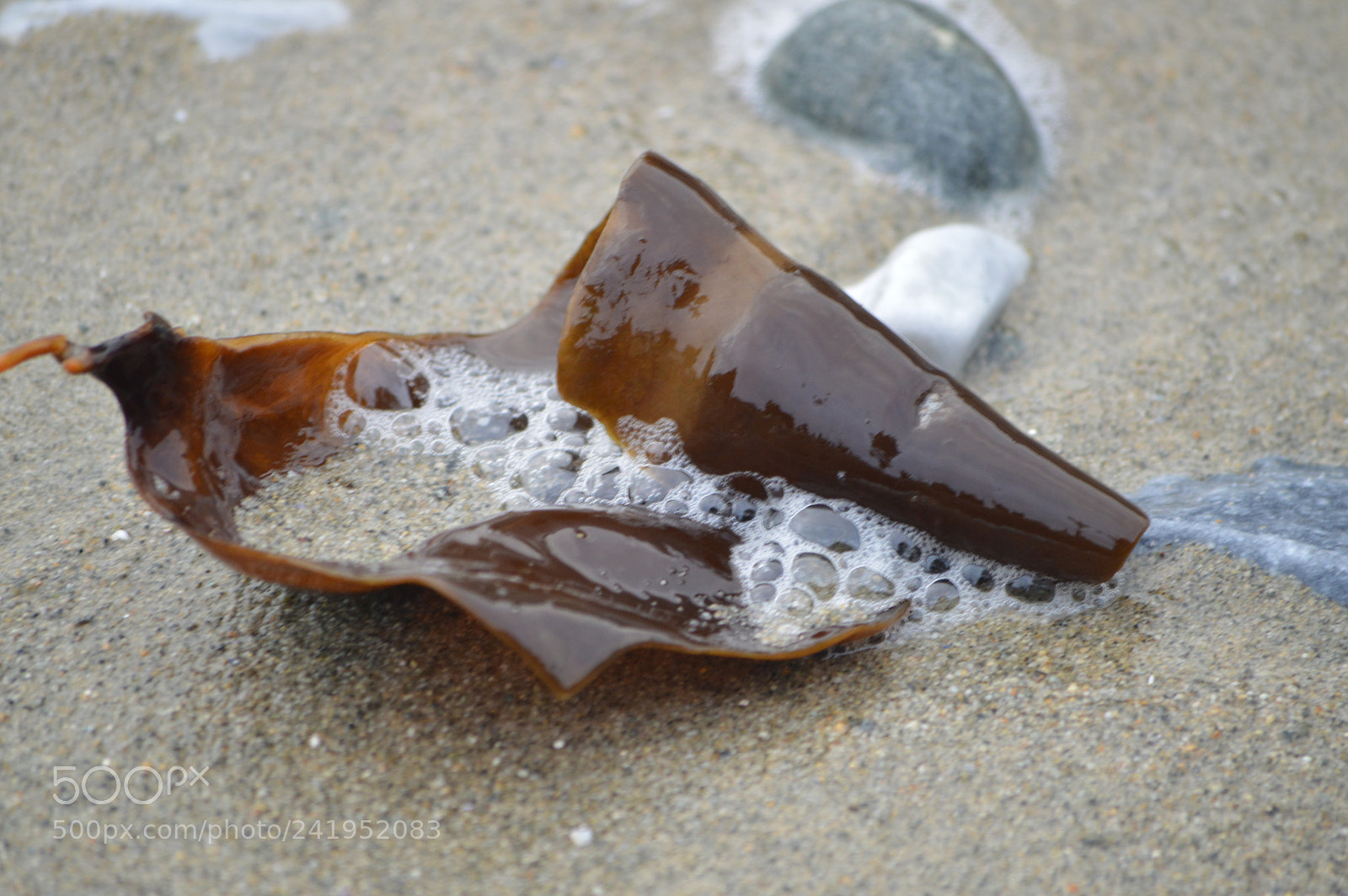 Nikon D3200 sample photo. Out of the water photography
