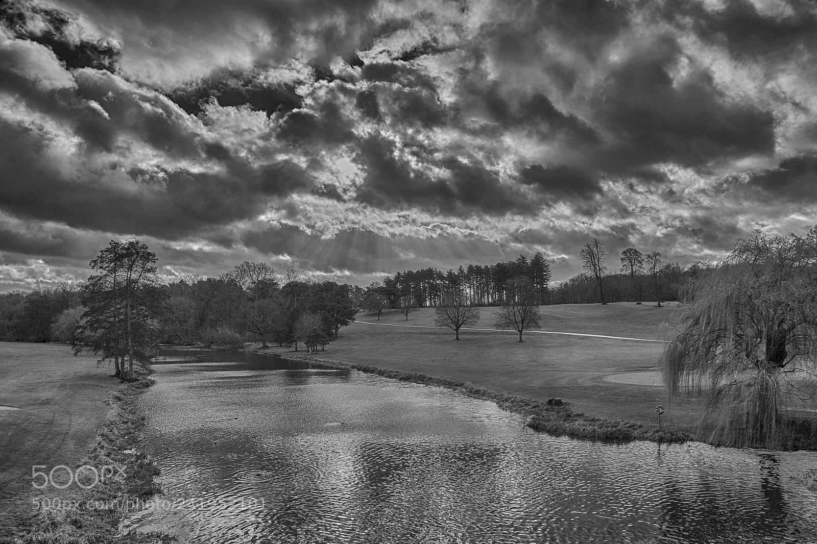 Nikon D7200 sample photo. River lea brocket hall photography