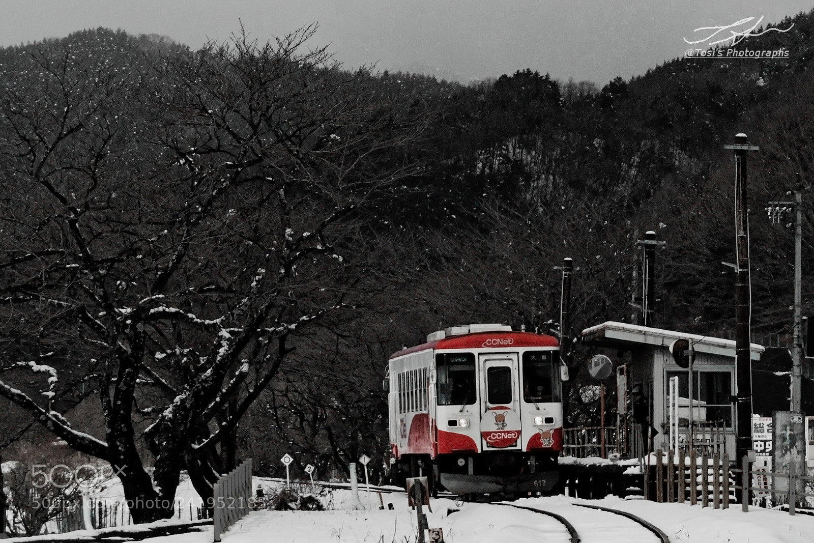 Nikon D810 sample photo. Station 駅 photography