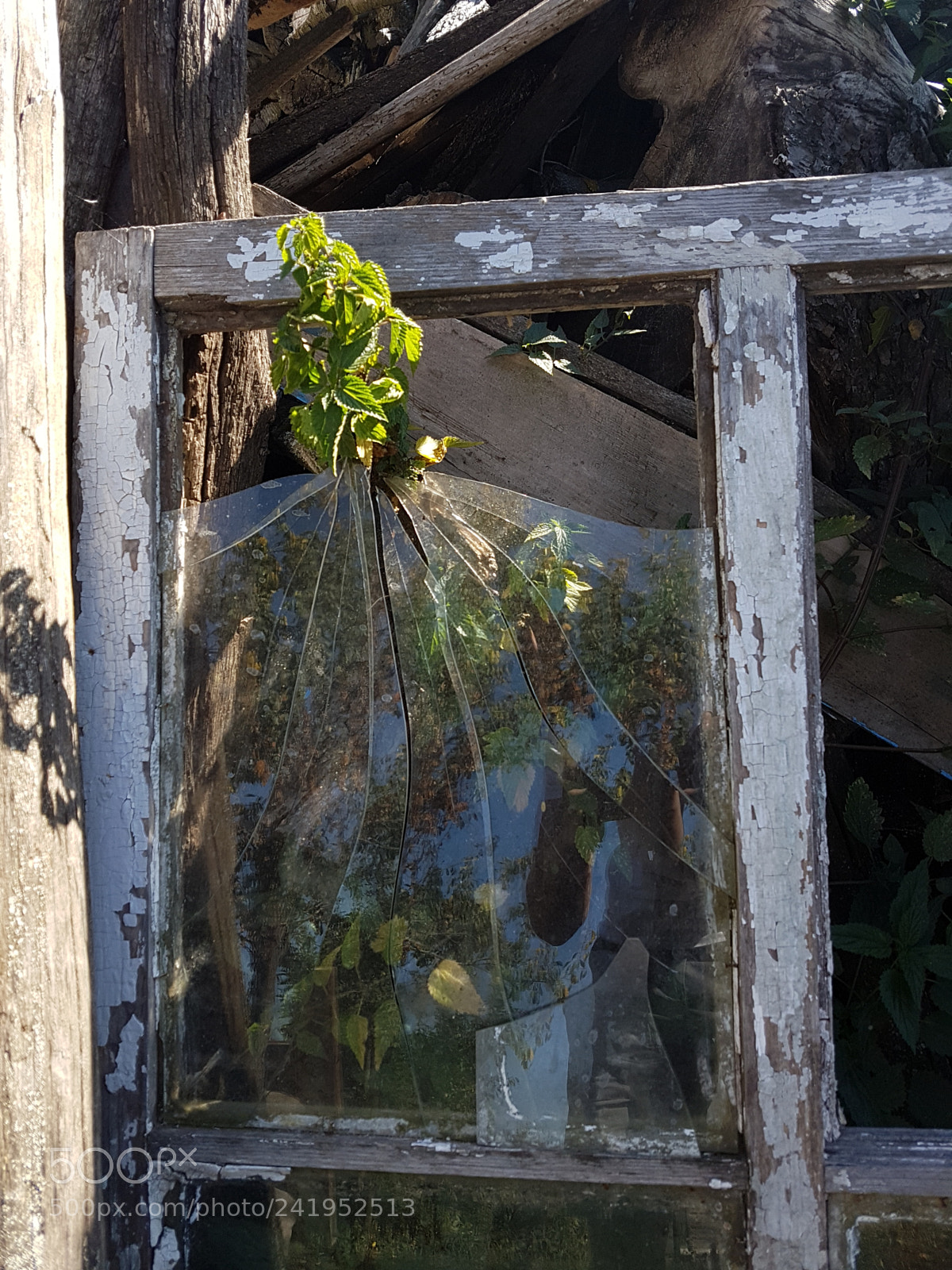 Samsung Galaxy S7 Edge sample photo. Broken glass photography
