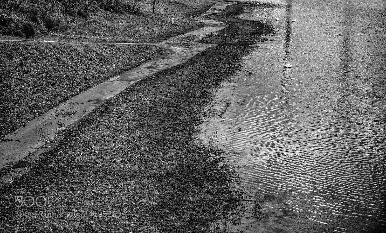 Sony Cyber-shot DSC-RX100 III sample photo. Nach dem hochwasser am photography