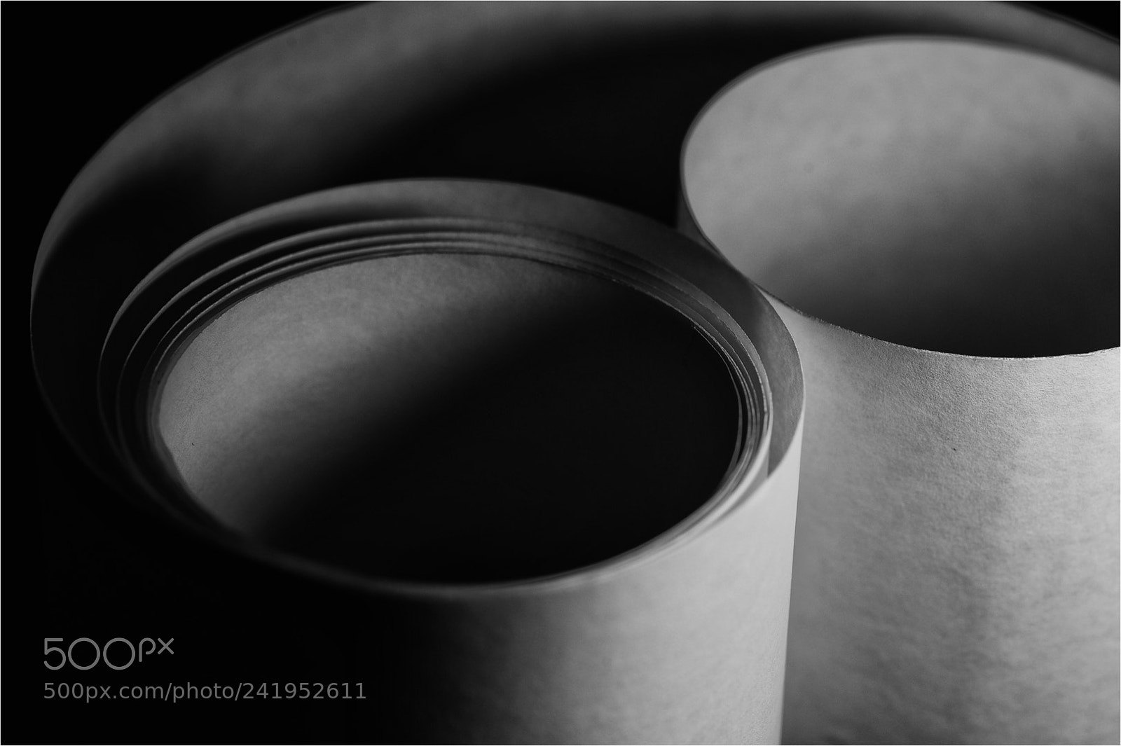 Nikon D700 sample photo. Mono paper curves photography