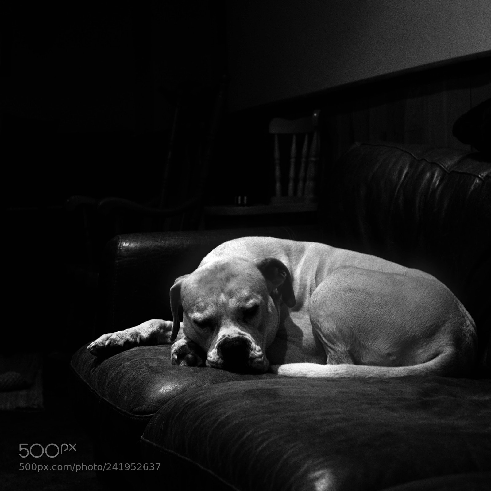 Sony a6300 sample photo. Power slumber photography