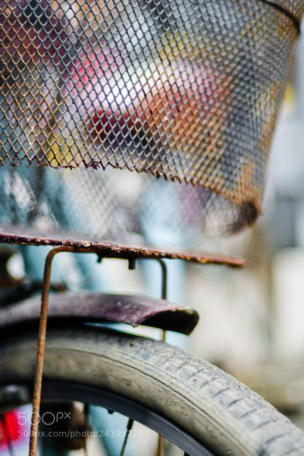 Nikon D500 sample photo. Shapes and colors photography