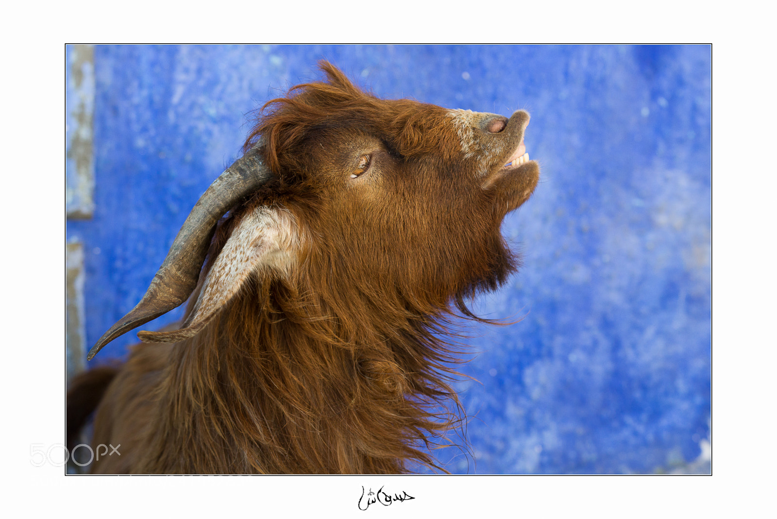 Canon EOS 60D sample photo. Les oudayas photography