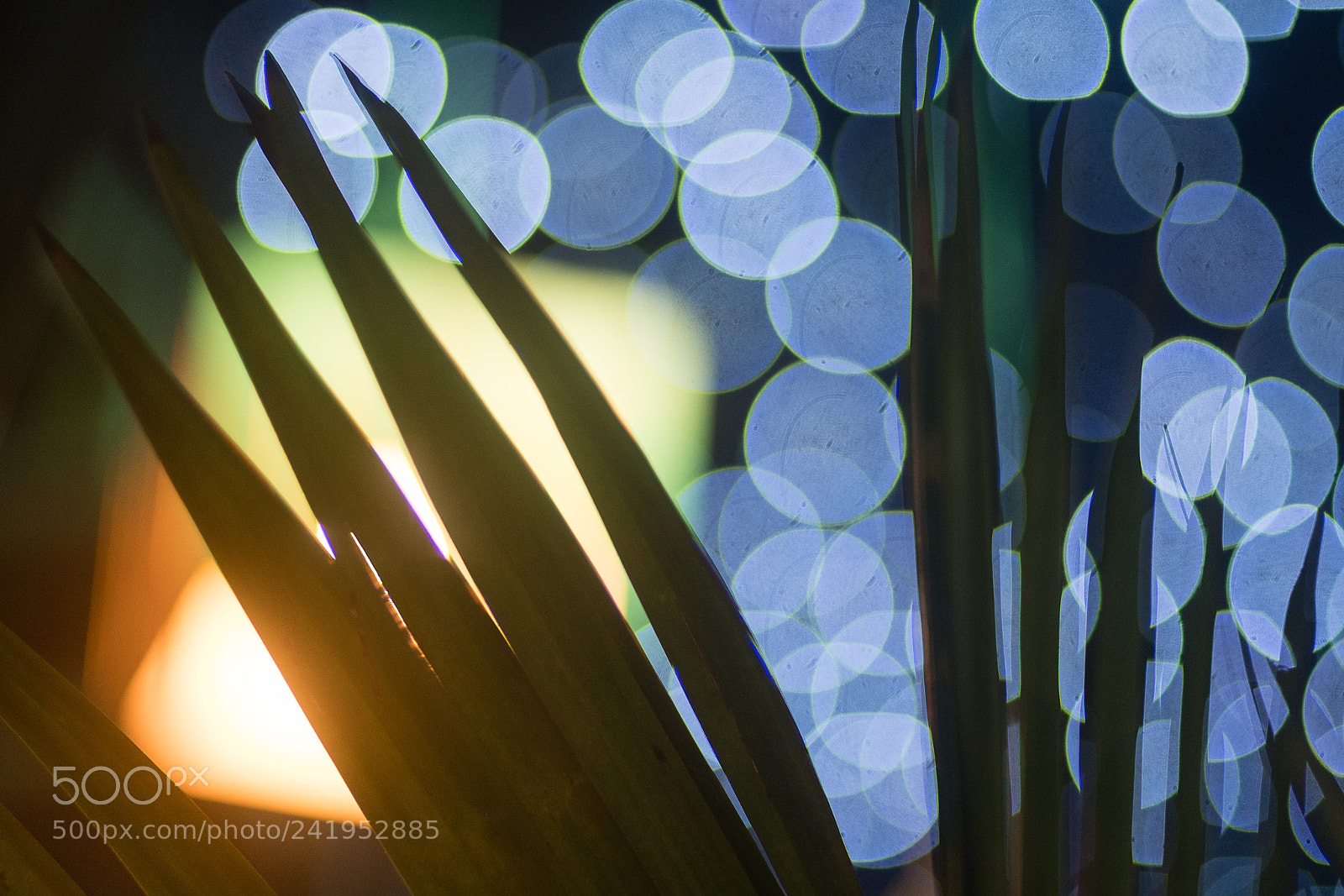 Nikon D500 sample photo. Shapes and colors photography