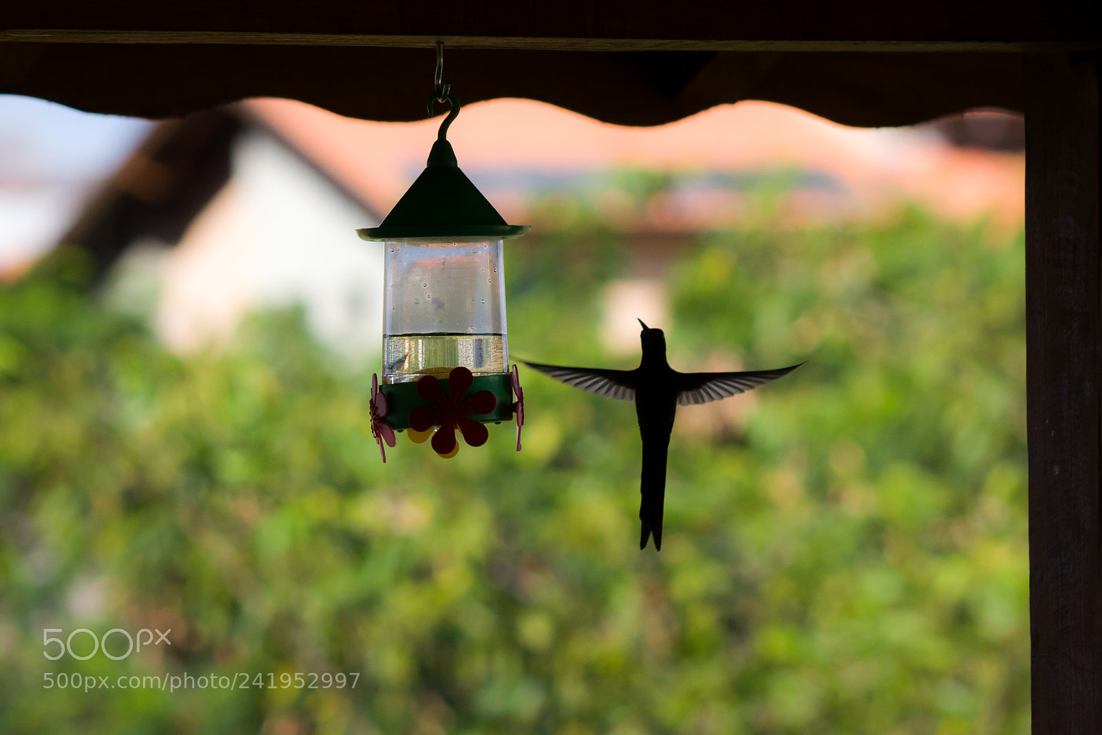 Canon EOS 1200D (EOS Rebel T5 / EOS Kiss X70 / EOS Hi) sample photo. Hummingbird photography
