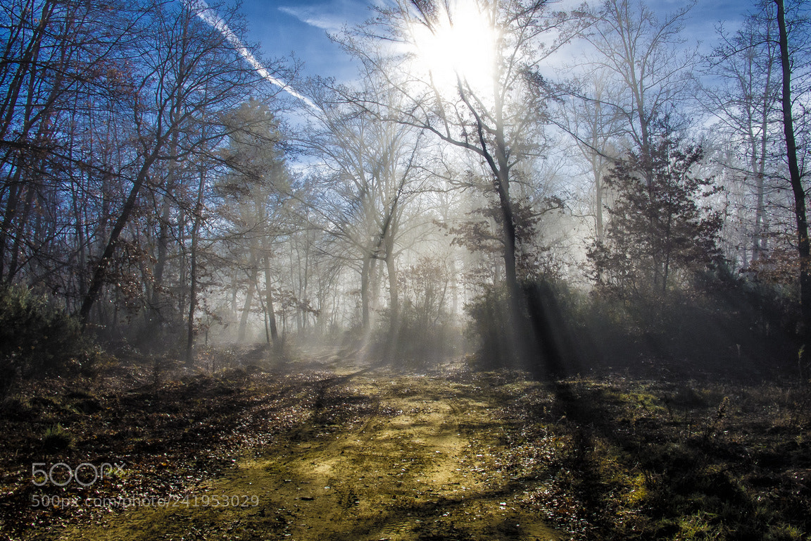 Canon PowerShot G12 sample photo. Raggi di sole photography