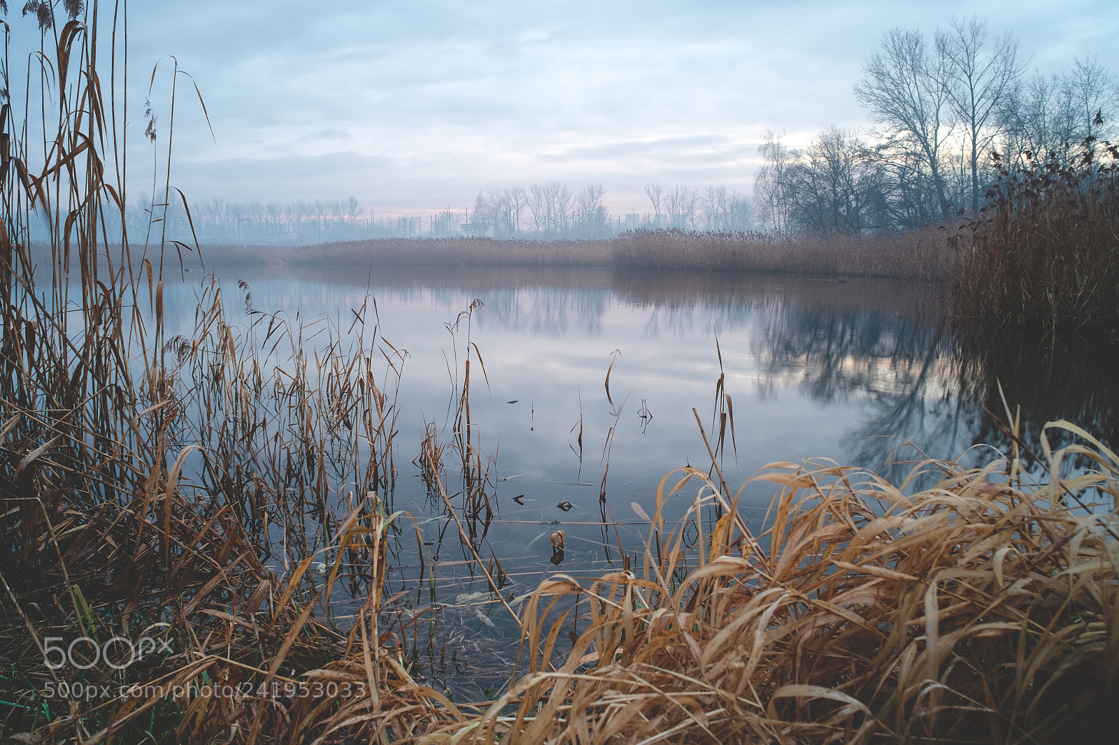 Fujifilm X-T1 sample photo. Morning rushes (006/375) photography