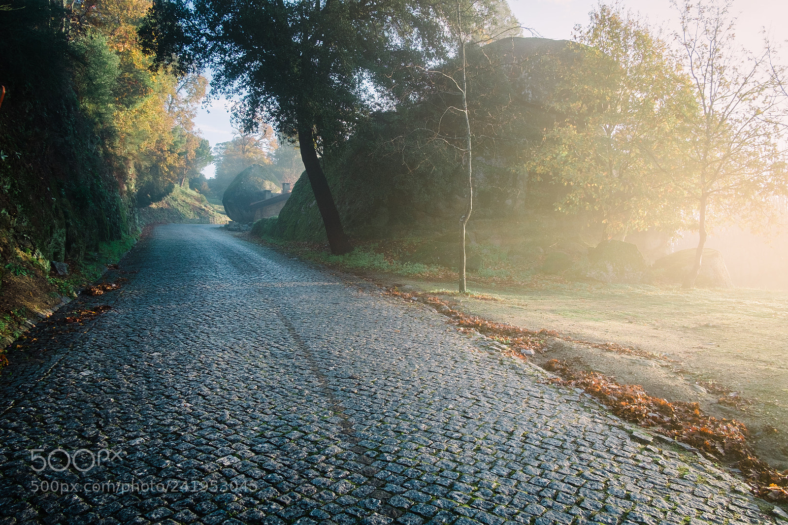 Fujifilm X-Pro1 sample photo. . photography