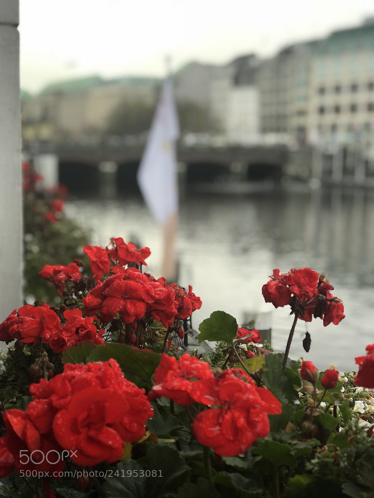 Apple iPhone 7 Plus sample photo. From hamburg,with love ❤️ photography
