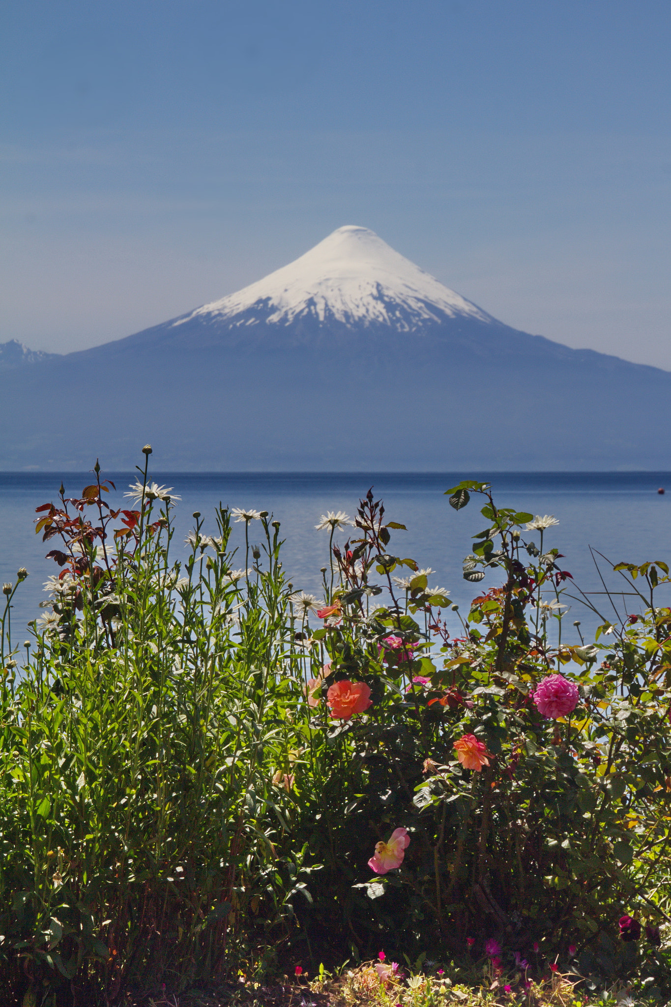 Canon EOS 600D (Rebel EOS T3i / EOS Kiss X5) + Tamron 18-270mm F3.5-6.3 Di II VC PZD sample photo. The volcano osorno from frutillar photography