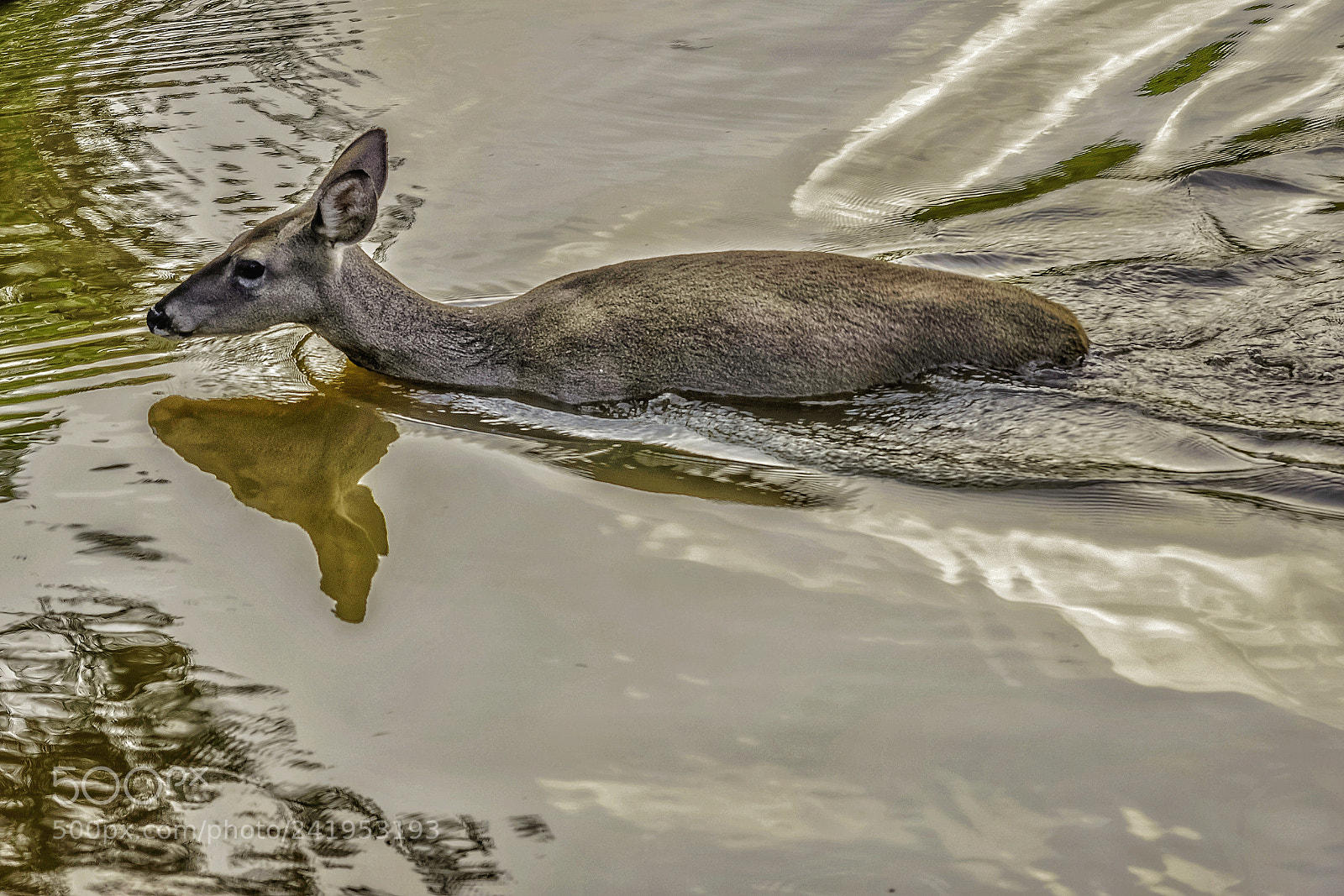 Nikon D7100 sample photo. Untitled photography