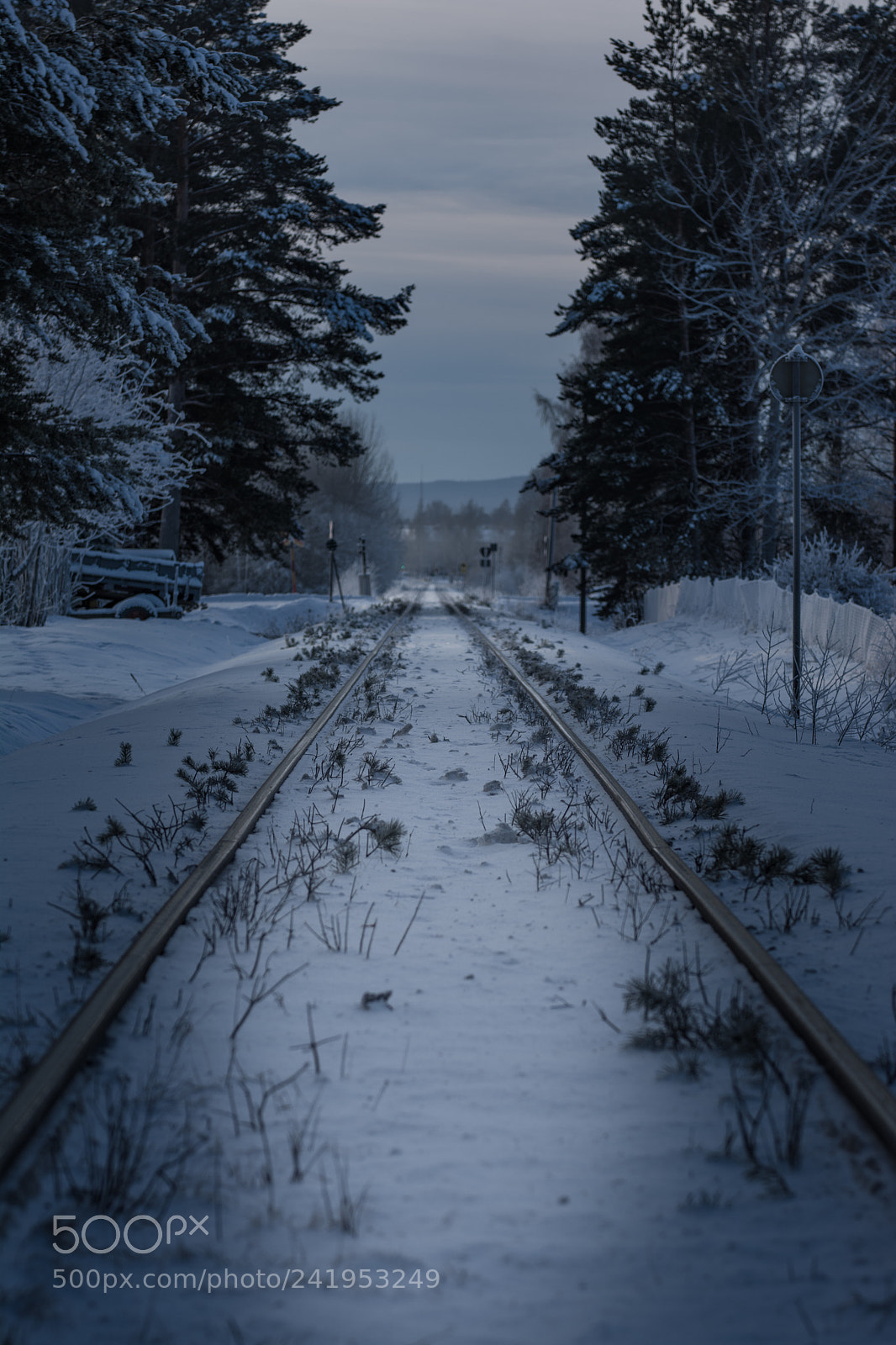 Nikon D7100 sample photo. Railing cold photography