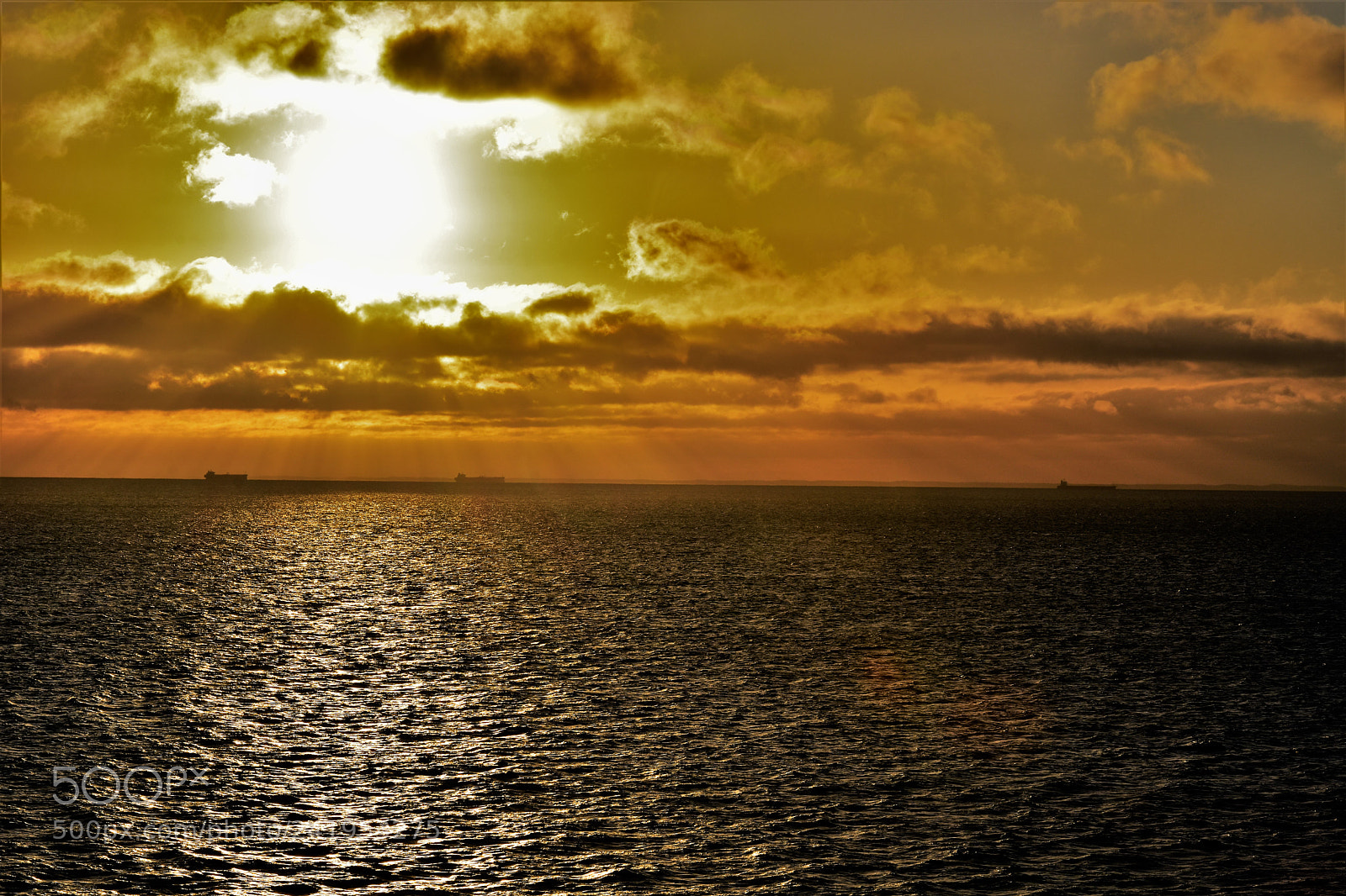 Nikon D7200 sample photo. Backlight photography
