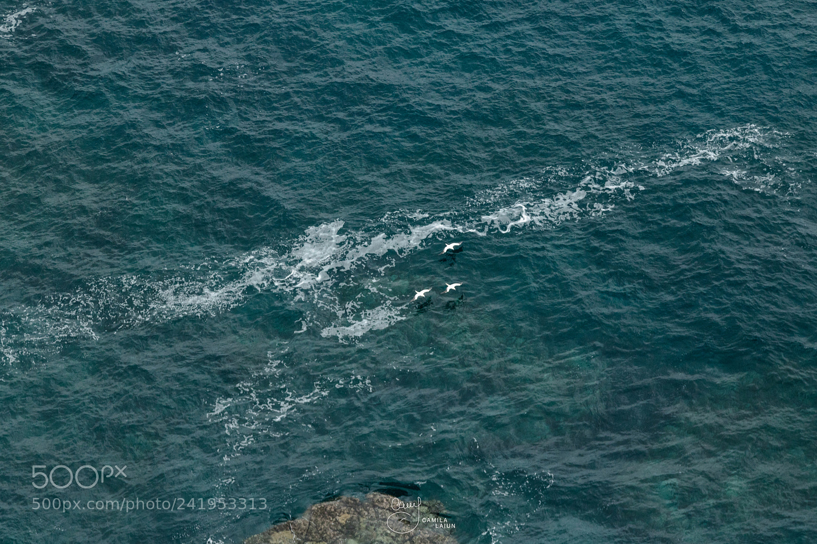 Canon EOS 750D (EOS Rebel T6i / EOS Kiss X8i) sample photo. Hawaii photography