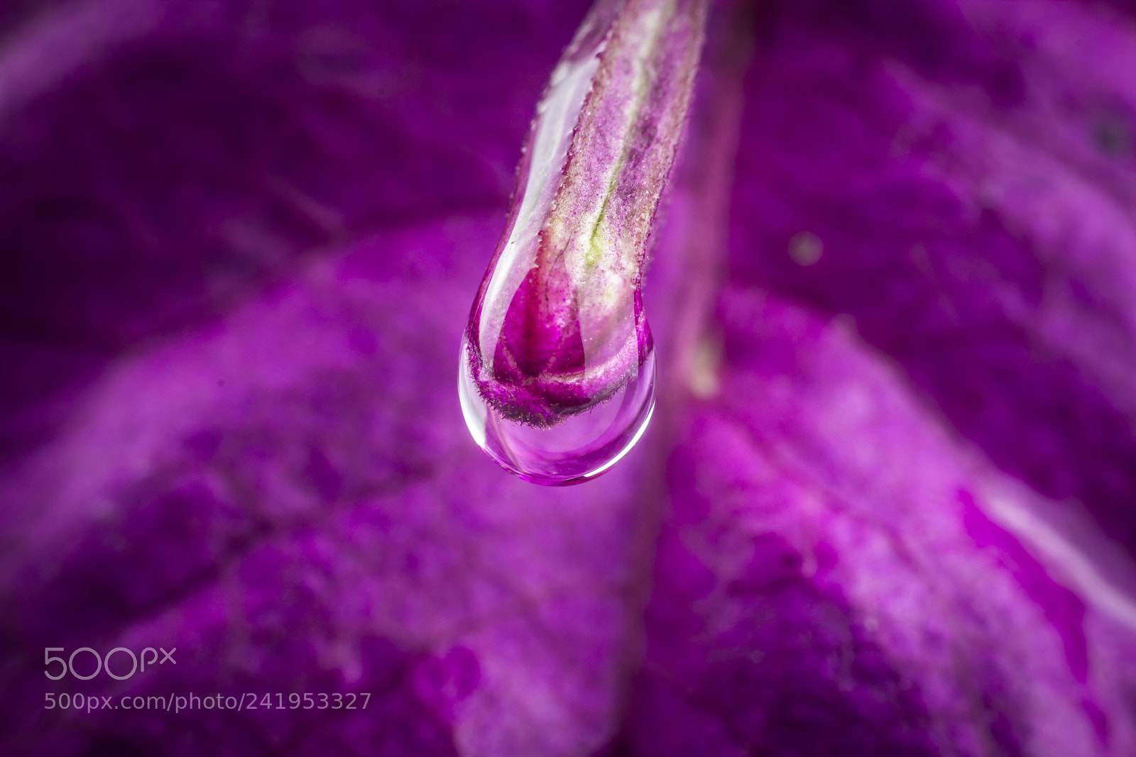 Canon EOS 60D sample photo. The drop photography