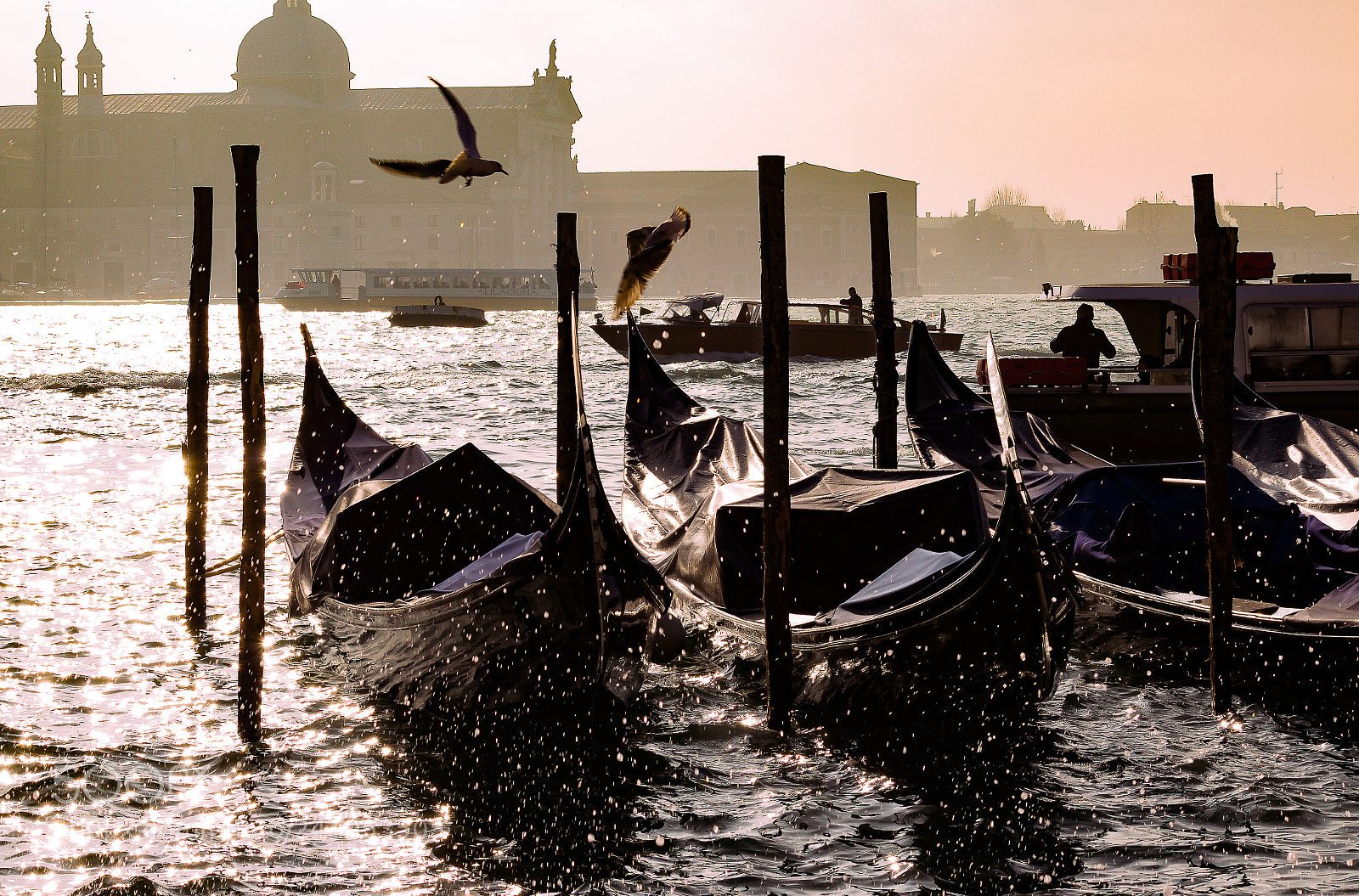 Canon EOS 1200D (EOS Rebel T5 / EOS Kiss X70 / EOS Hi) sample photo. Venice 2018 photography