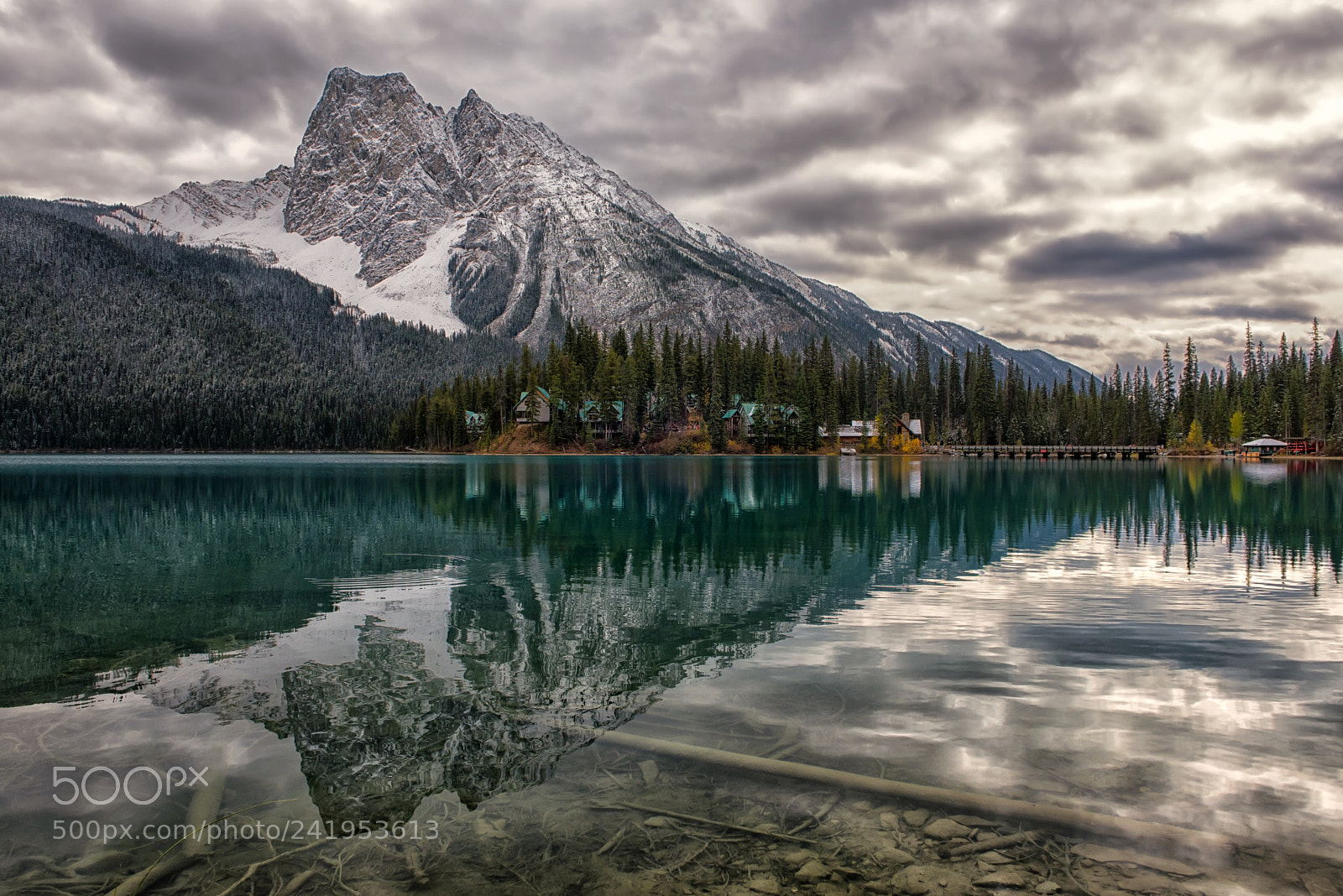 Nikon D810 sample photo. Nature's arrowhead photography