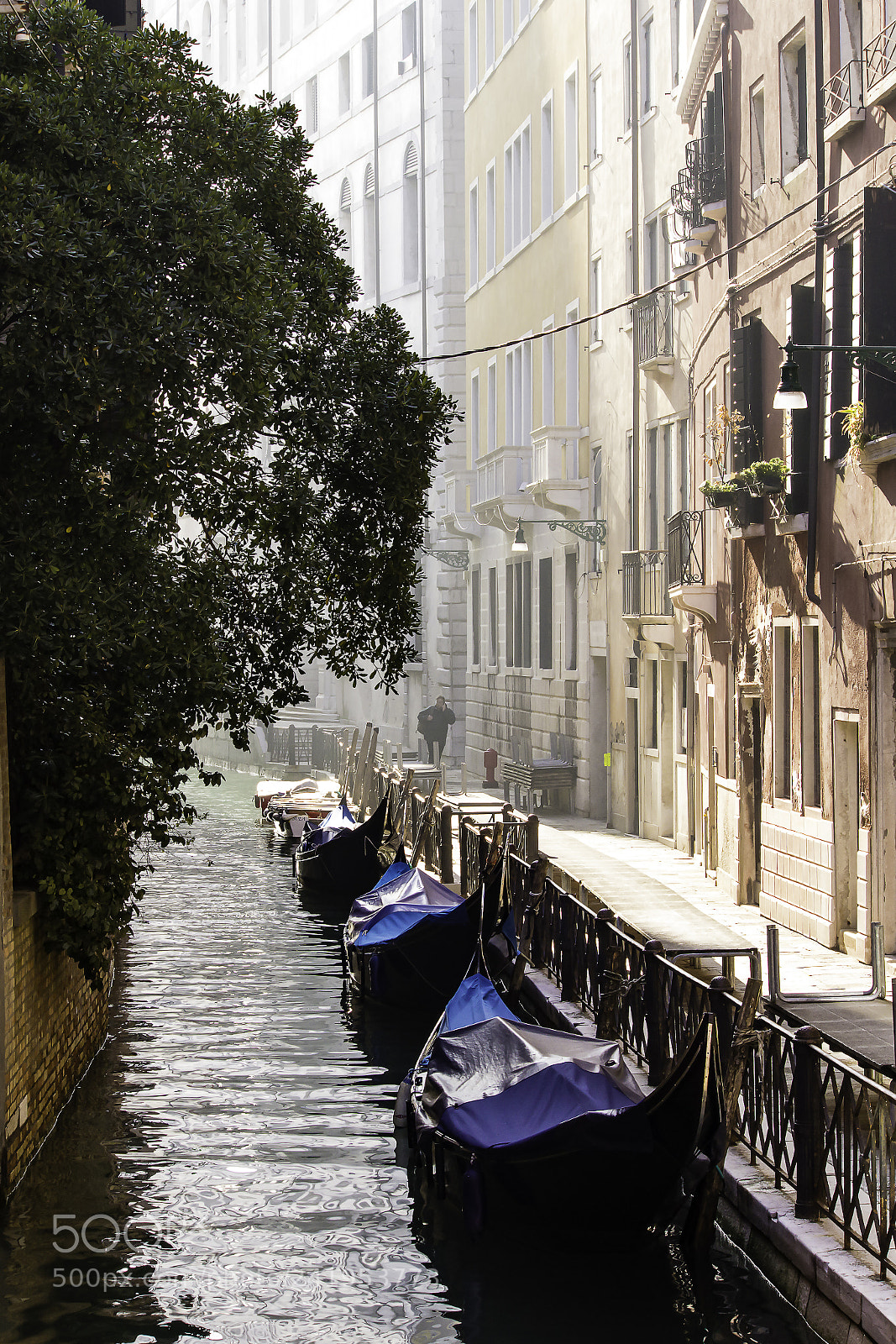 Canon EOS 1200D (EOS Rebel T5 / EOS Kiss X70 / EOS Hi) sample photo. Venice 2018 photography