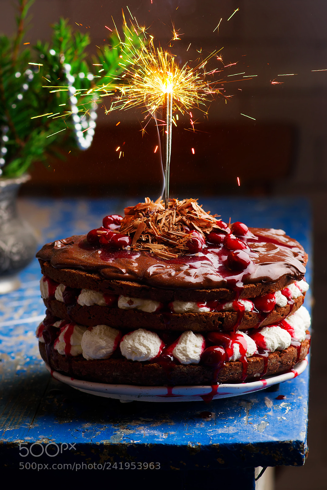 Nikon D3100 sample photo. Chocolate cherry cake bengal photography