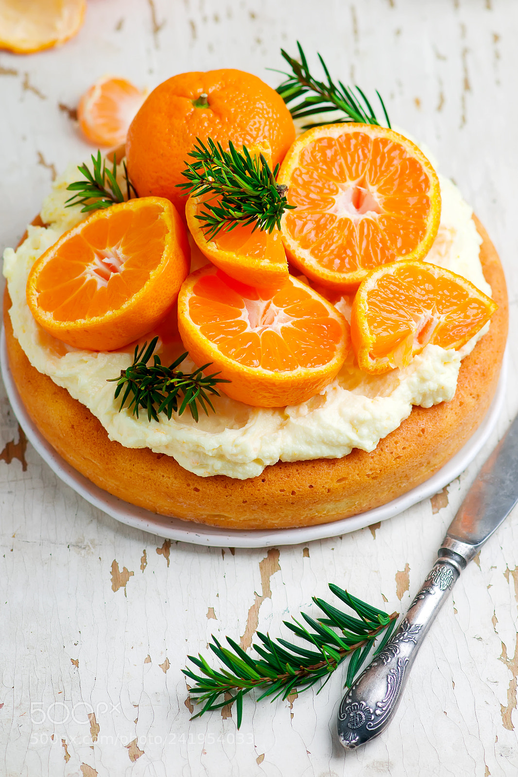 Nikon D3100 sample photo. Fresh tangerine cake with photography