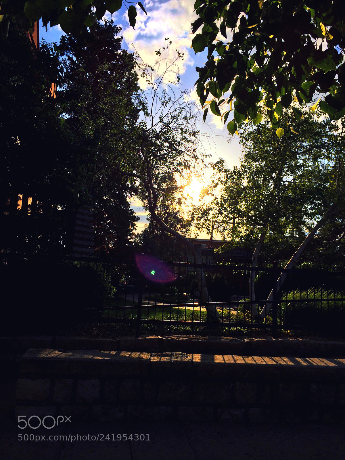 Apple iPhone 5s sample photo. Untitled photography