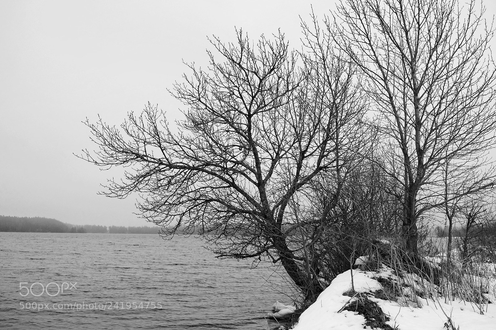 Fujifilm X-T20 sample photo. Lake photography