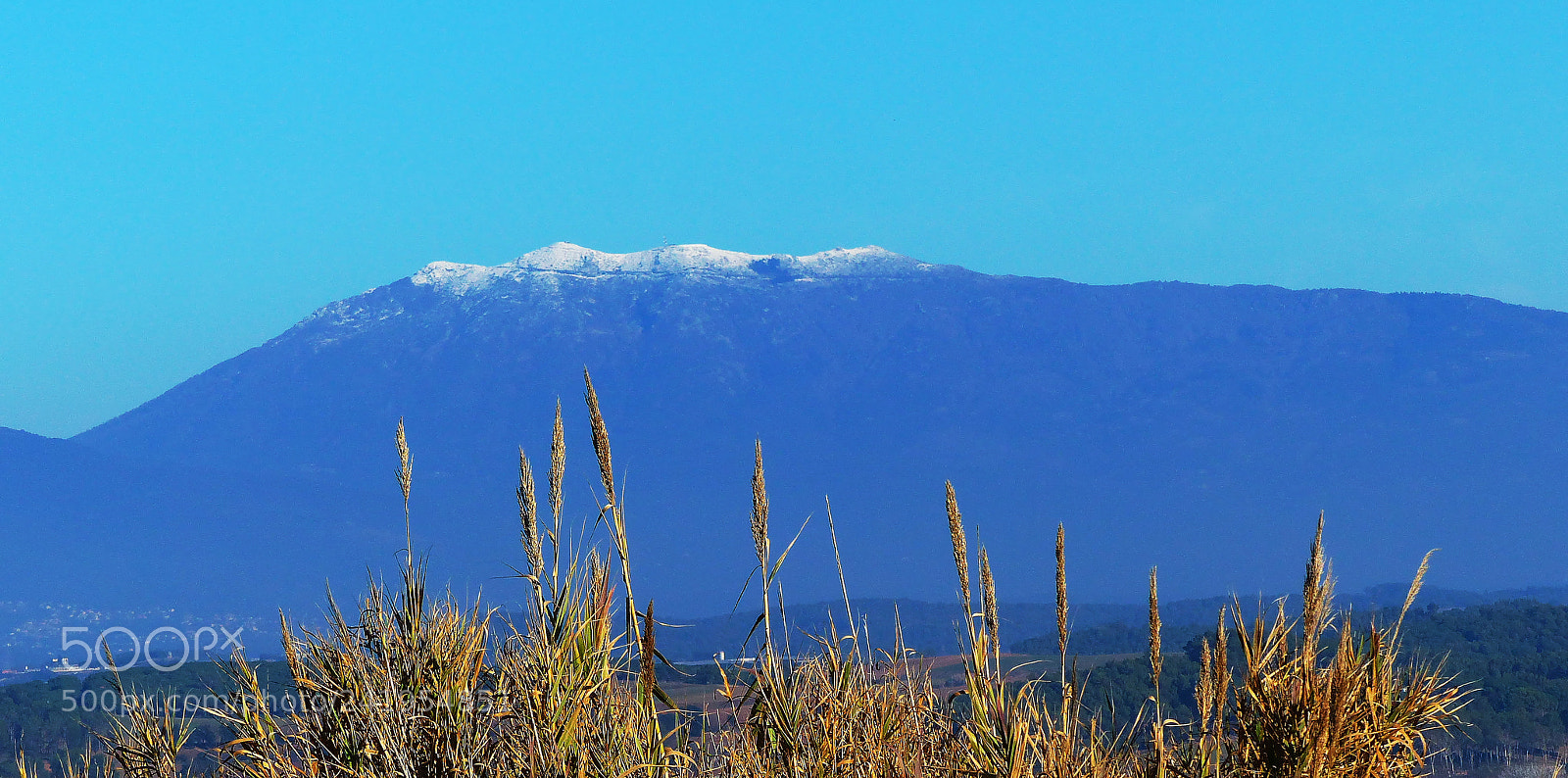 Panasonic Lumix DMC-FZ200 sample photo. Snow in the tur photography