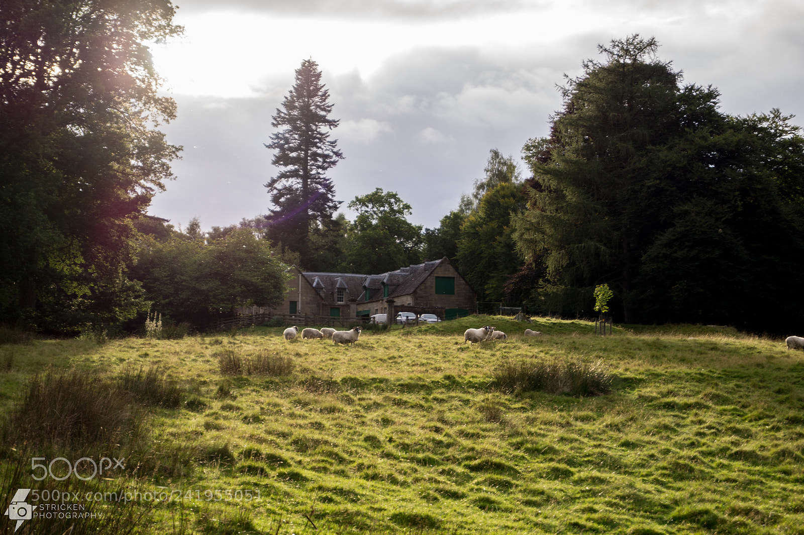 Sony SLT-A58 sample photo. Scottish landscape photography