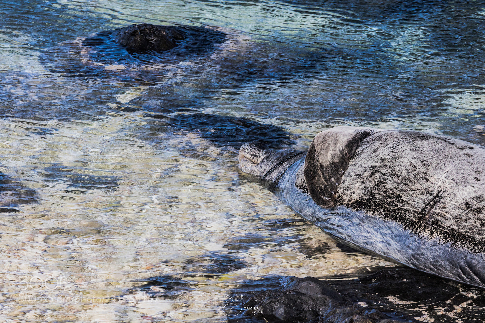 Canon EOS 750D (EOS Rebel T6i / EOS Kiss X8i) sample photo. Hawaii photography