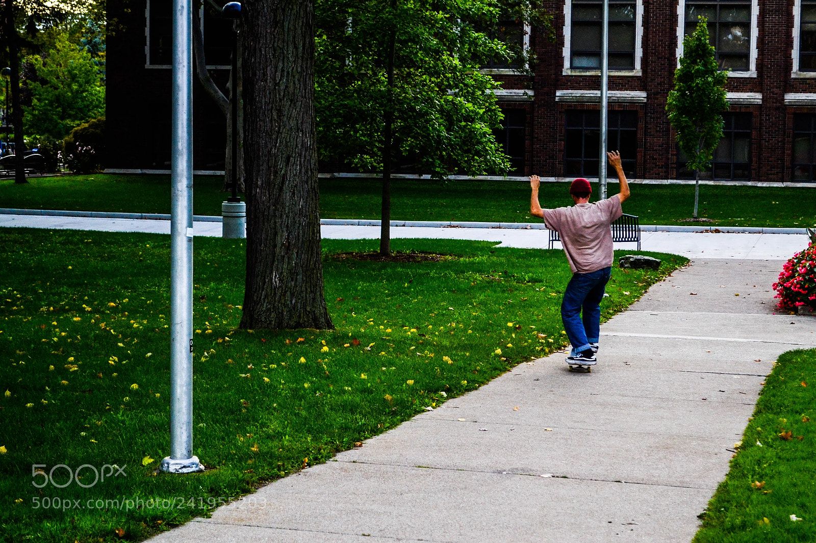 Nikon D3100 sample photo. Skateboarding #7 photography