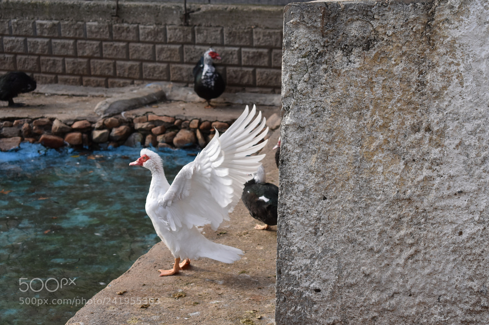 Nikon D3400 sample photo. Dsc photography