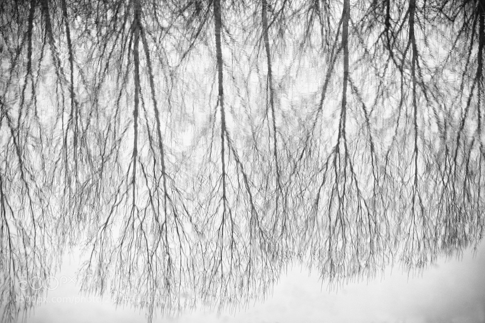 Canon EOS 5D sample photo. Water reflection photography