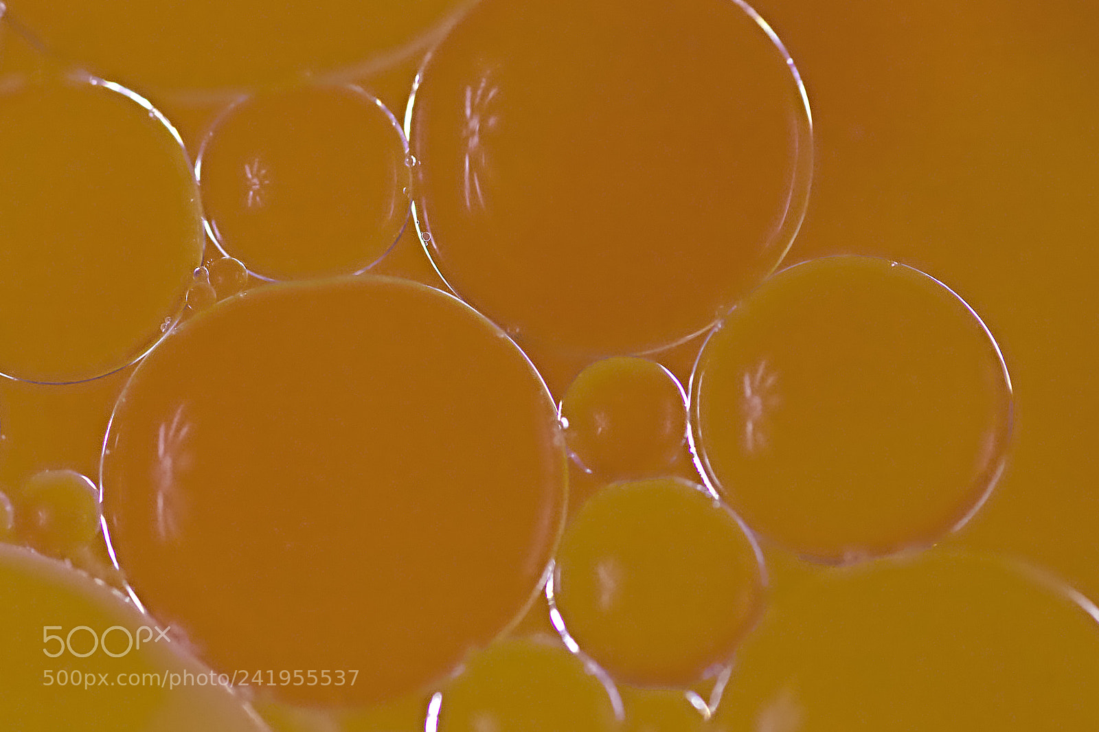 Canon EOS 6D Mark II sample photo. 2018 day 8 -  sunny bubbles photography