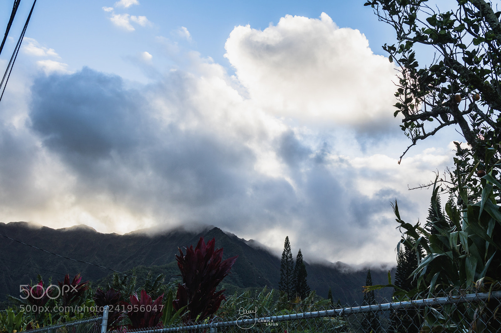 Canon EOS 750D (EOS Rebel T6i / EOS Kiss X8i) sample photo. Hawaii photography