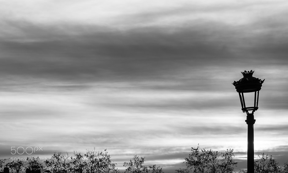 Olympus OM-D E-M1 Mark II sample photo. Nightfall in the park.. photography