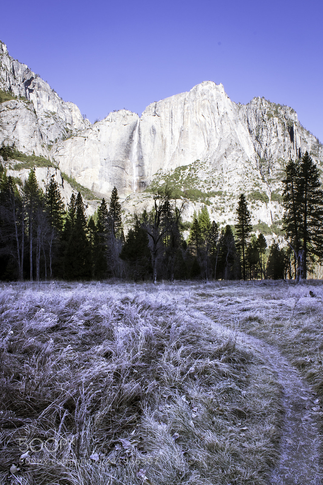 Canon EOS 1300D (EOS Rebel T6 / EOS Kiss X80) sample photo. Yosemite falls photography