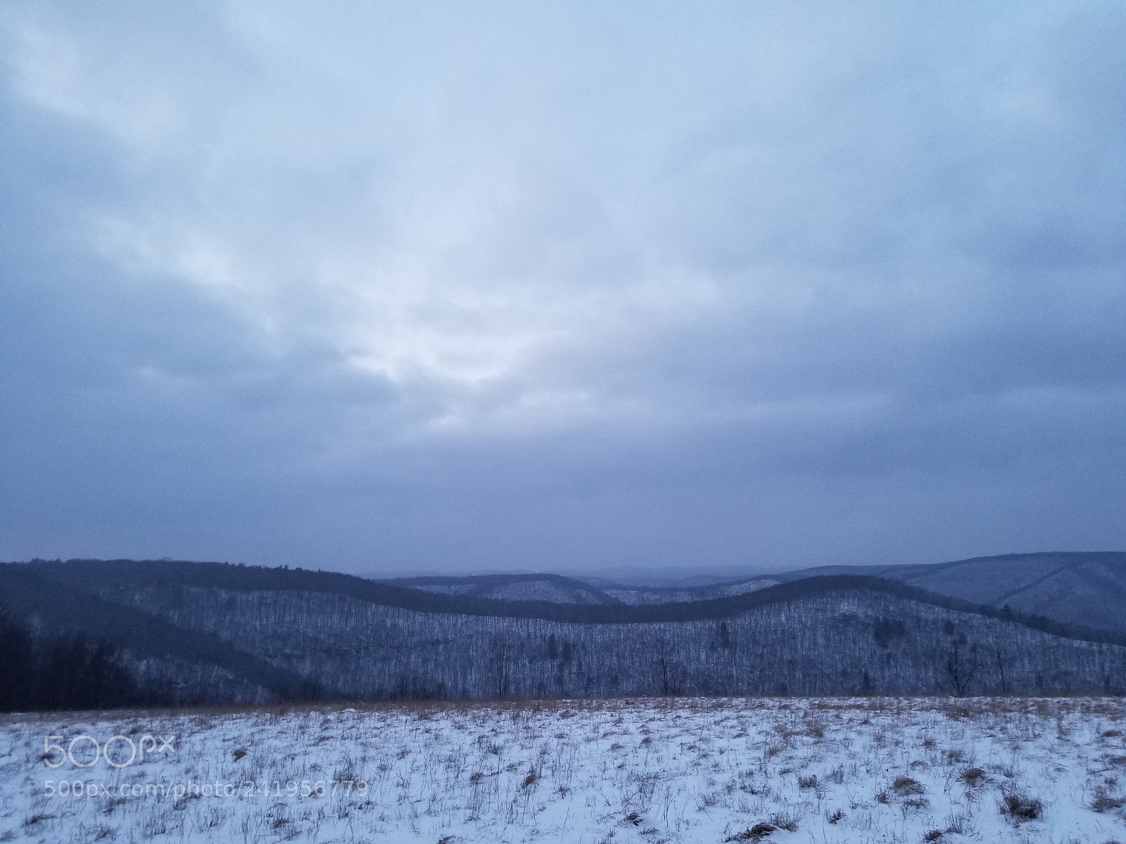 Samsung Galaxy S8+ sample photo. Untitled photography