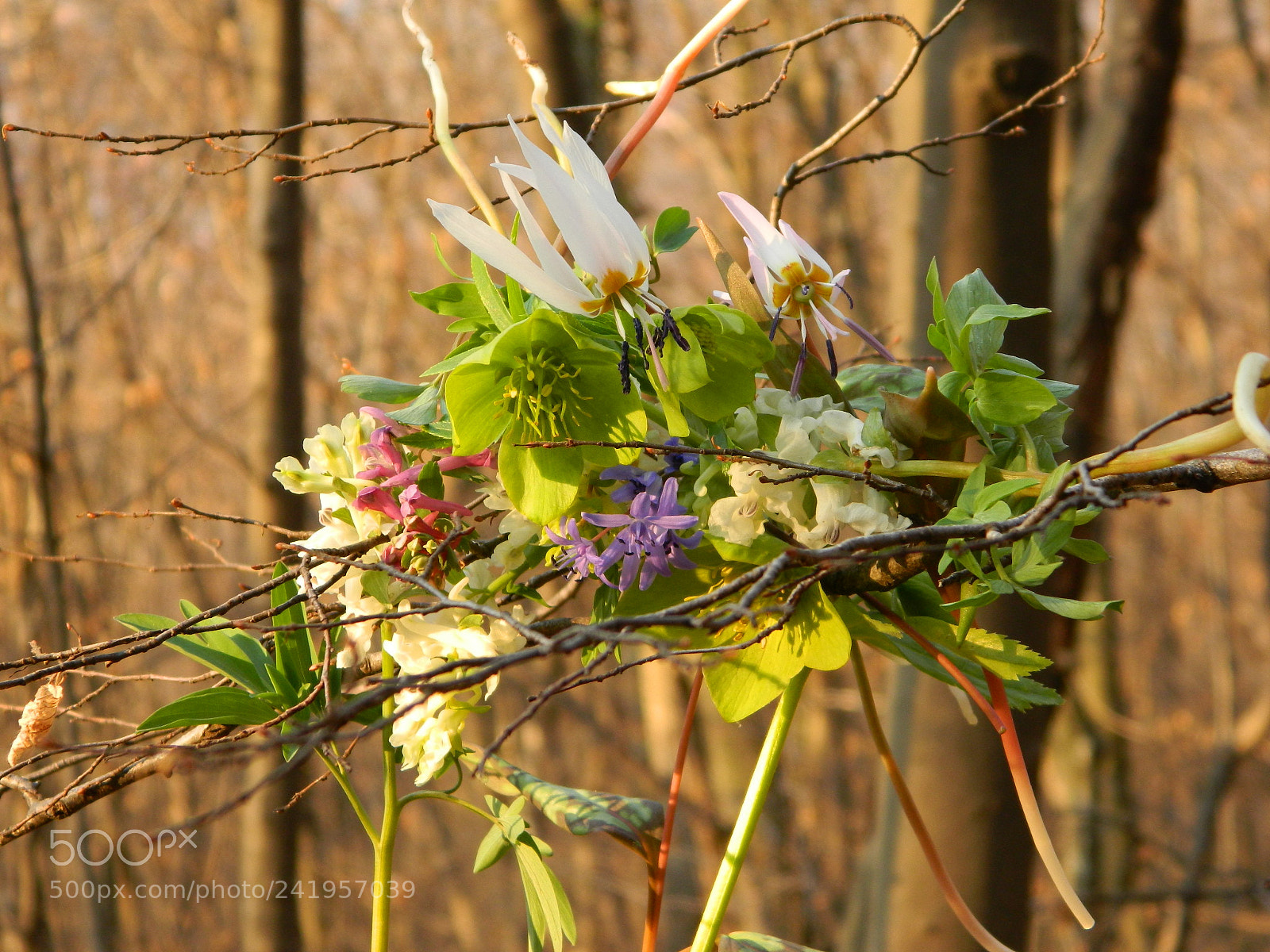 Nikon Coolpix L120 sample photo. Vesnik photography