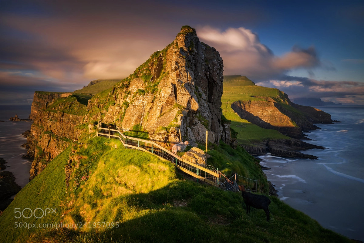 Sony a7R sample photo. Mykines path photography
