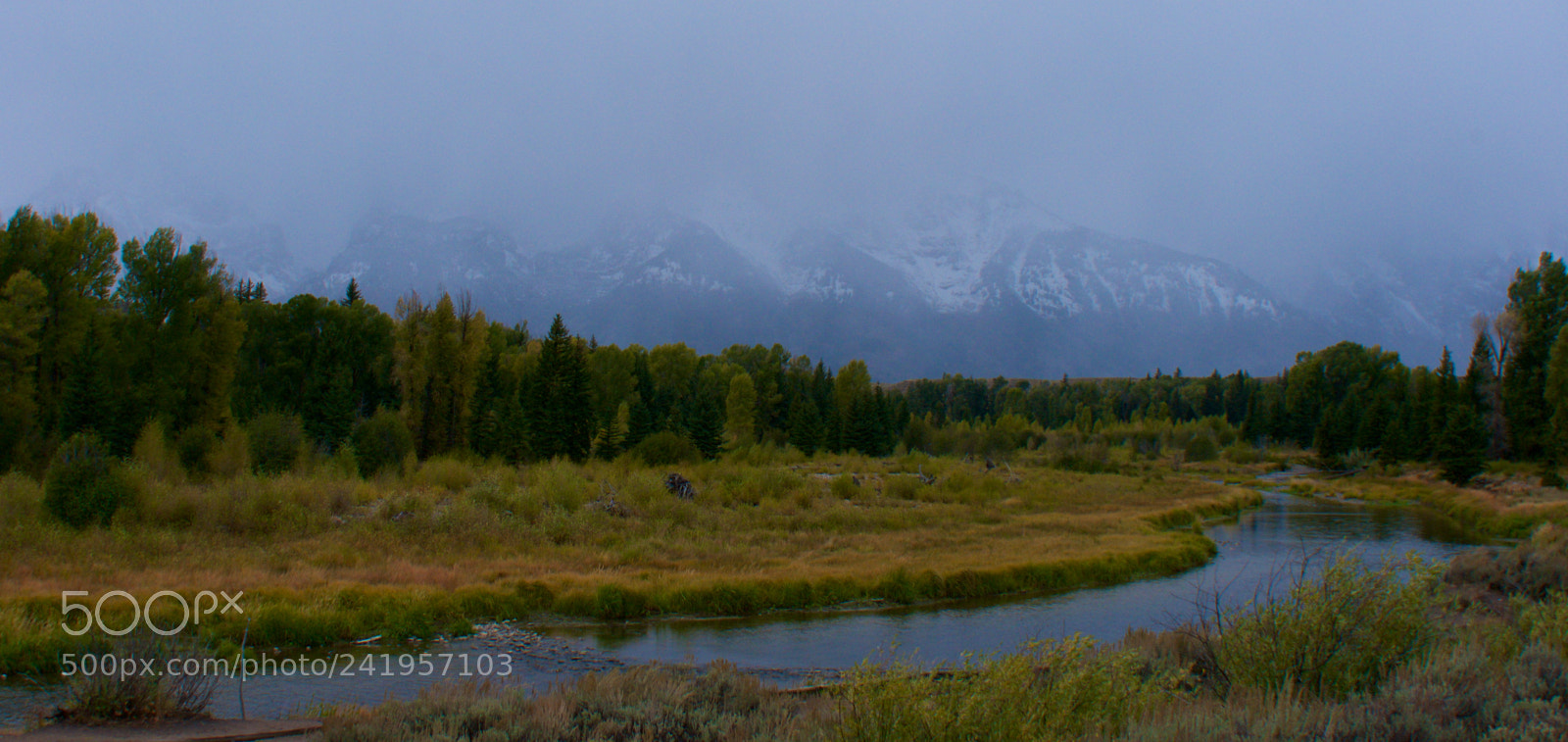 Nikon D300 sample photo. Tetonfog photography