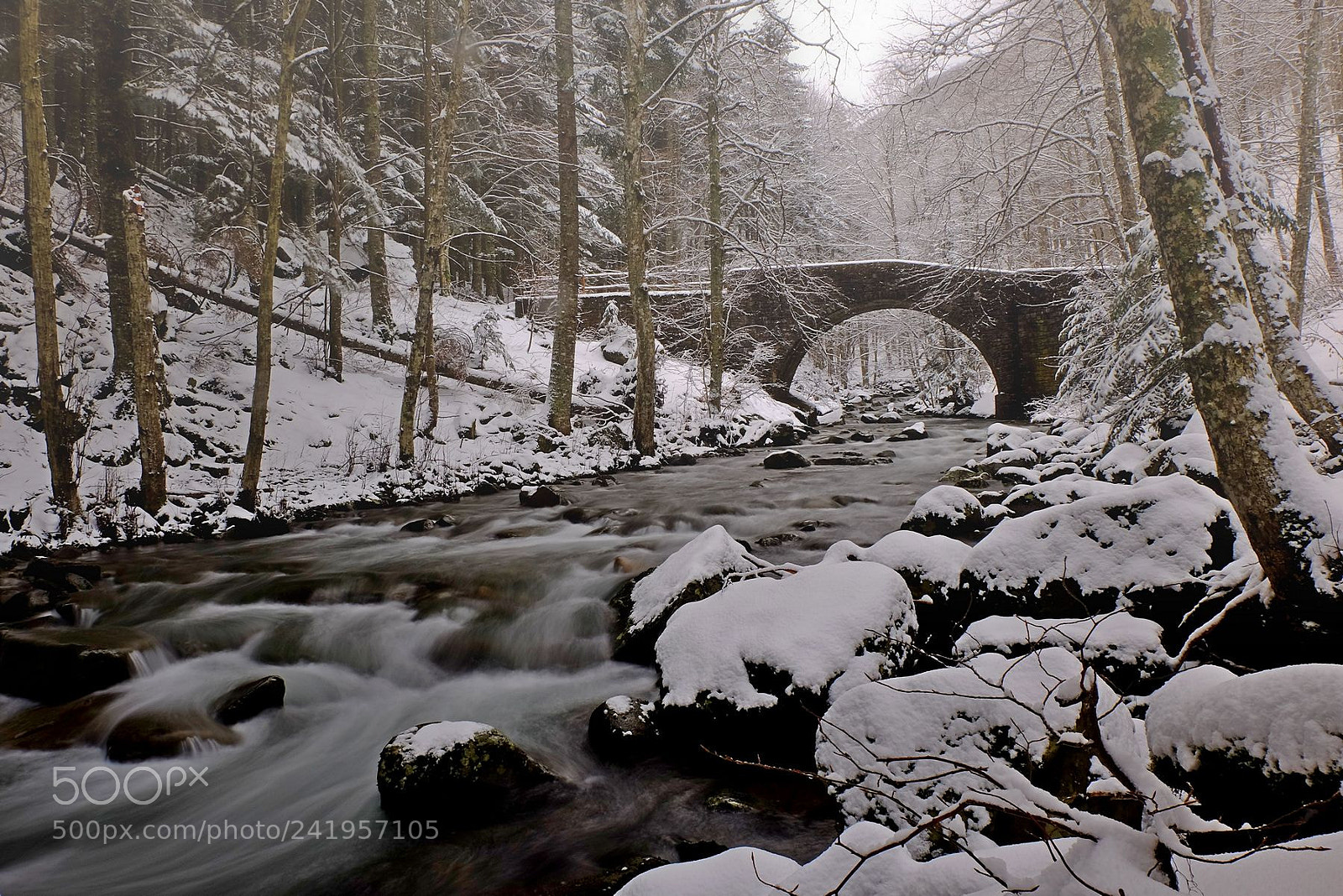 Fujifilm X-M1 sample photo. The creek and the photography