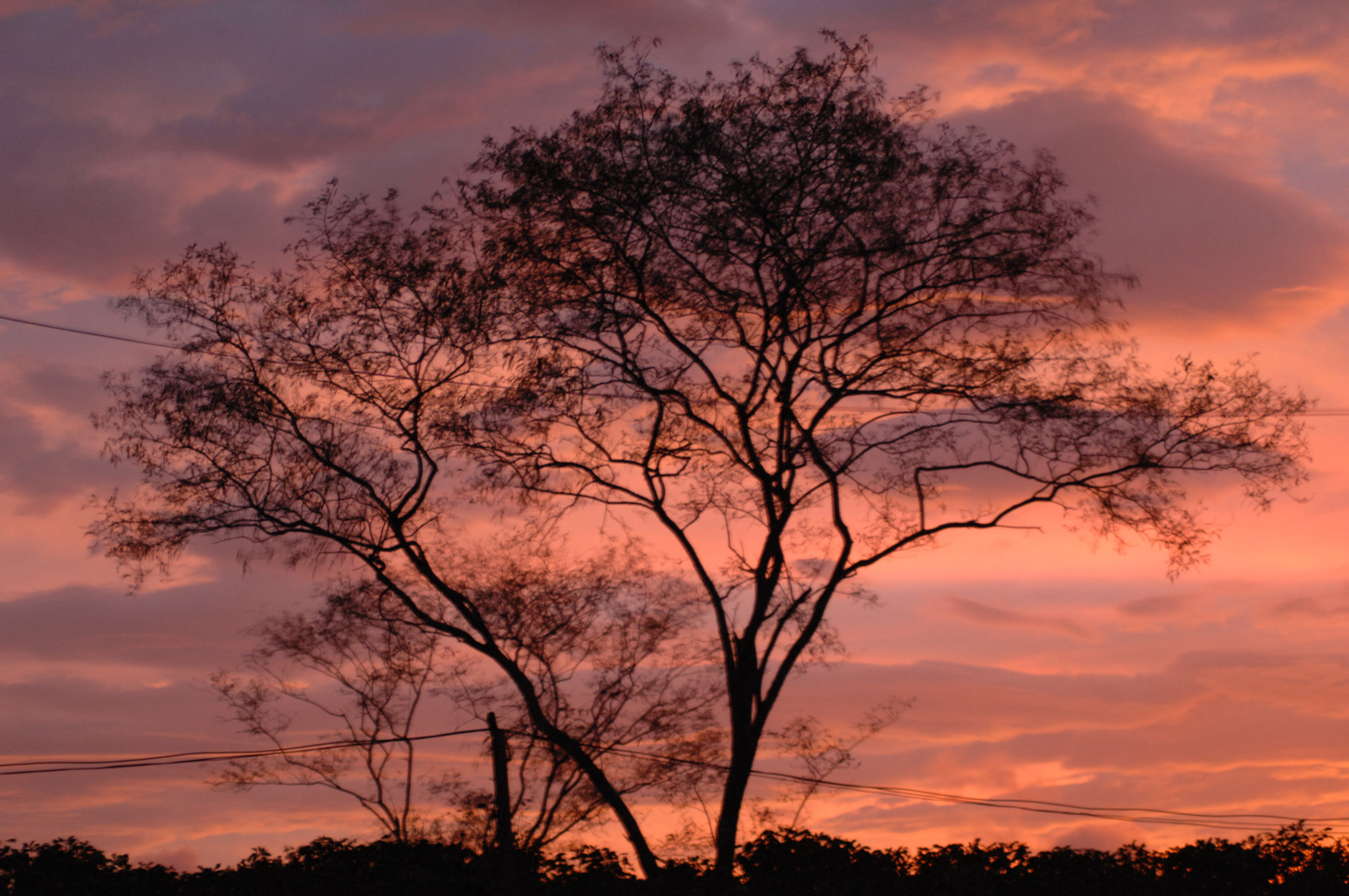 Nikon D2Xs sample photo. Vietnam photography