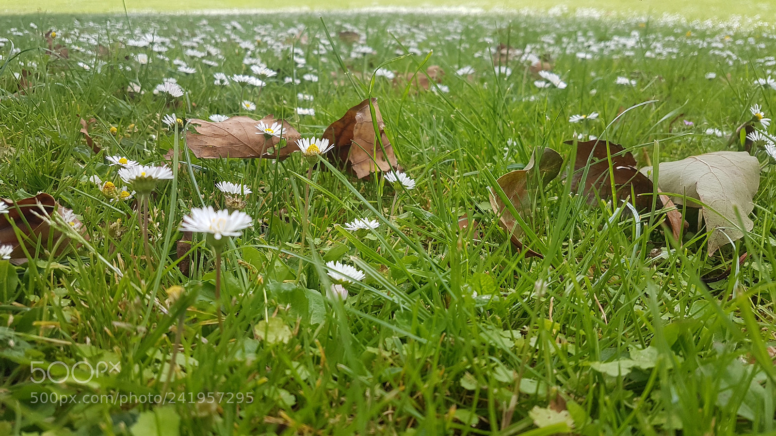Samsung Galaxy S7 sample photo. 20171112_114104.jpg photography