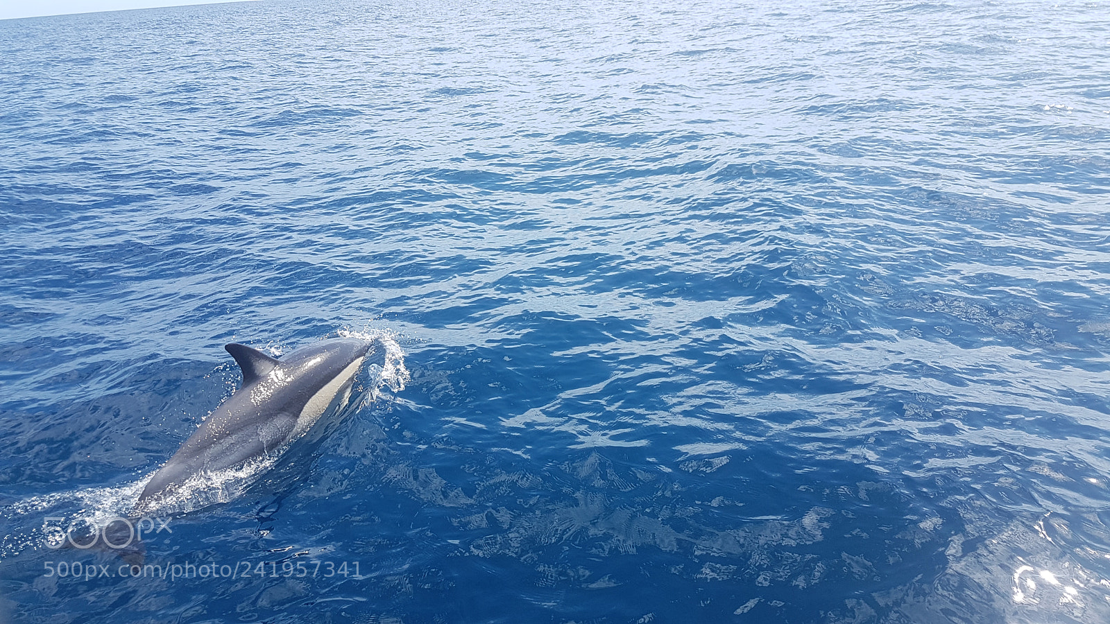 Samsung Galaxy S7 sample photo. 20171222_101448_002.jpg photography