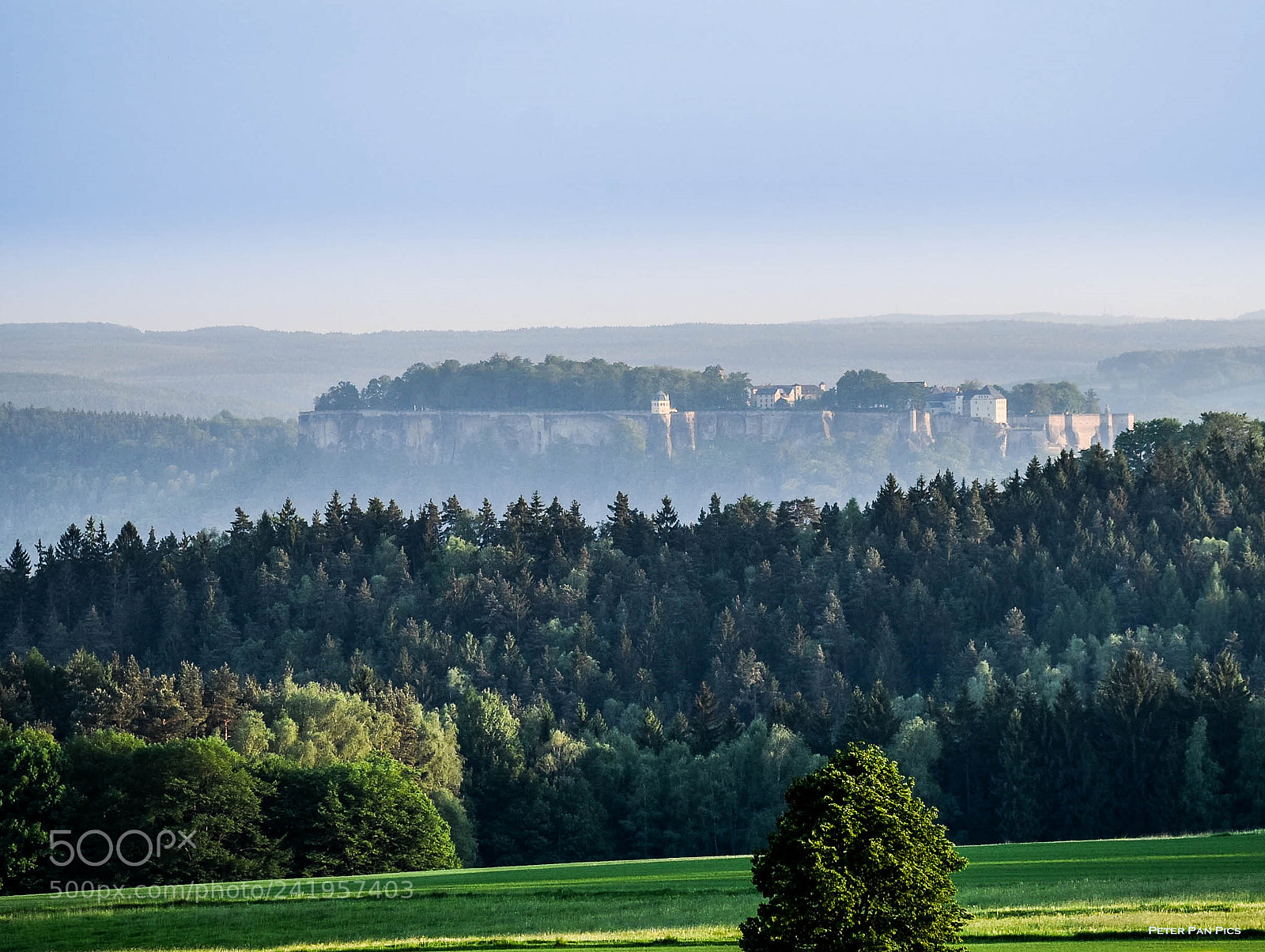 Nikon D5500 sample photo. Festung+ photography