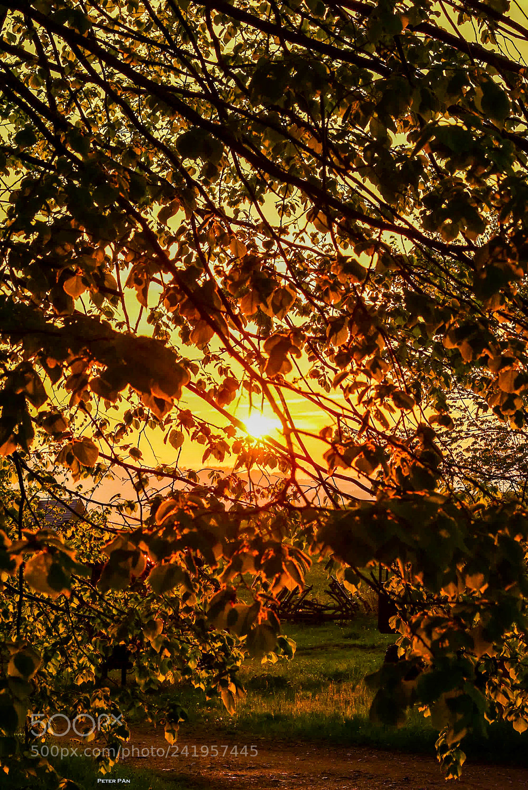 Nikon D5500 sample photo. Herbst photography